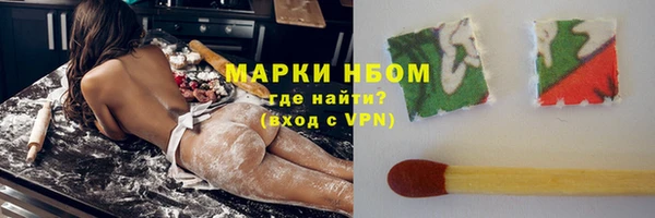 гидра Алексин