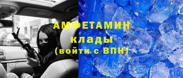 гидра Алексин