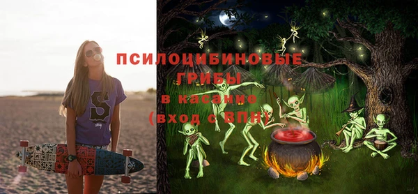 гидра Алексин
