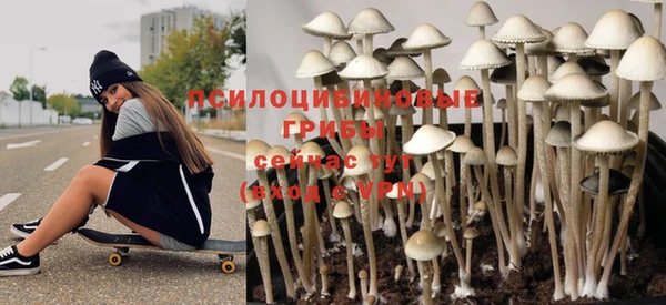 apvp Алексеевка