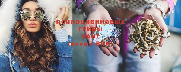 apvp Алексеевка