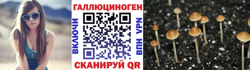 Псилоцибиновые грибы MAGIC MUSHROOMS  даркнет сайт  Тотьма 